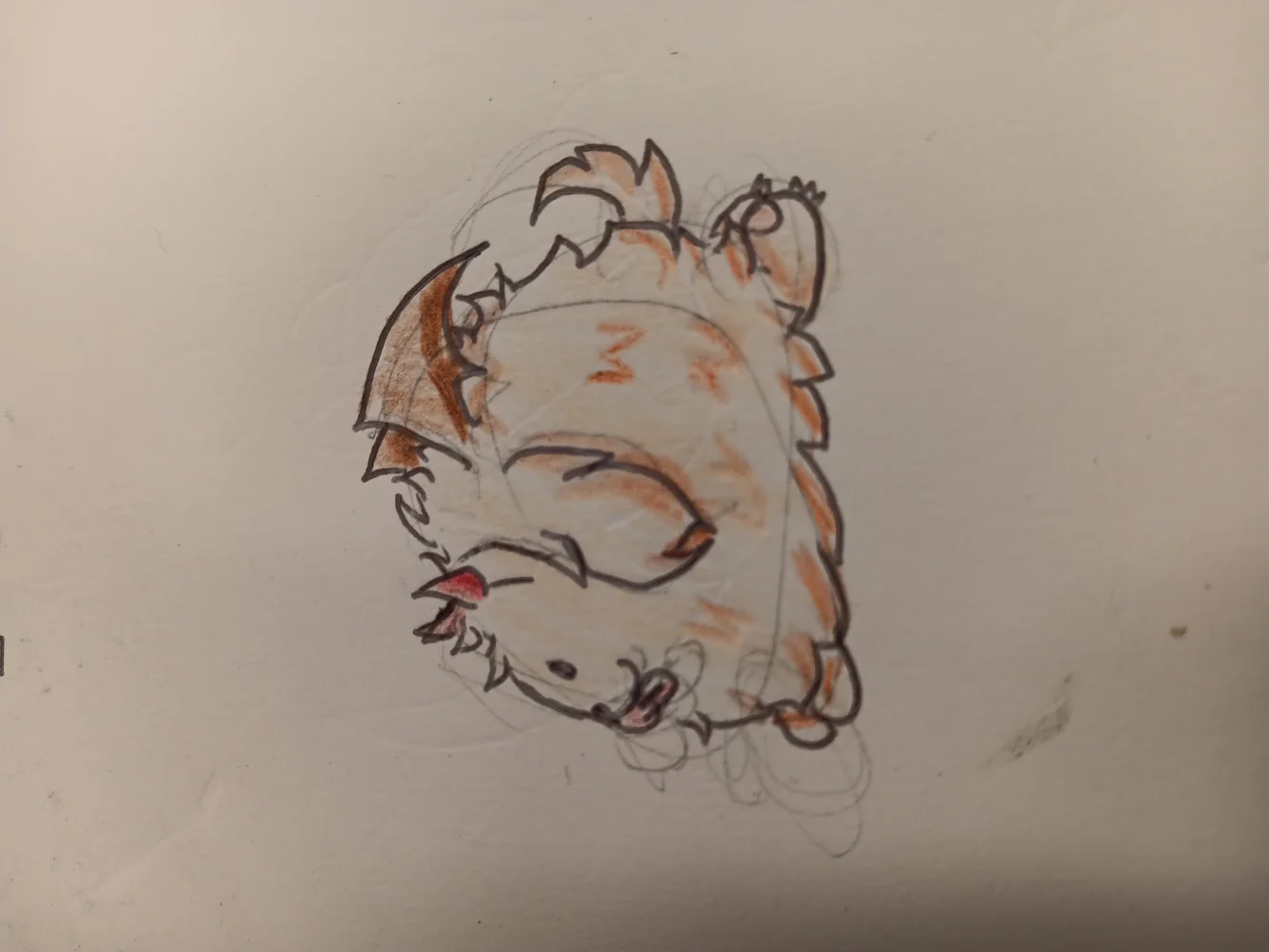 Art for Sploot